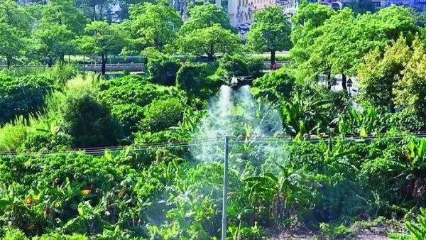 财富加 惠东：“拉网式”排查整治筑牢公共卫生防线