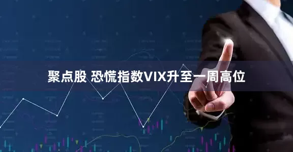 聚点股 恐慌指数VIX升至一周高位